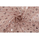 Mesh Ricamato Paillettes Chiara Rosa Cipria Mesh Ricamato Paillettes Chiara Rosa Cipria
