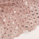 Mesh Ricamato Paillettes Chiara Rosa Cipria Mesh Ricamato Paillettes Chiara Rosa Cipria