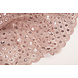 Mesh Ricamato Paillettes Chiara Rosa Cipria Mesh Ricamato Paillettes Chiara Rosa Cipria