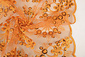 Mesh Geborduurd Pailletten Rosetta Oranje