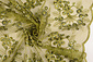 Mesh Ricamato Paillettes Rosetta Verde Muschio Mesh Ricamato Paillettes Rosetta Verde Muschio