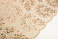 Malla Bordada con Lentejuelas Rosetta Champán Beige