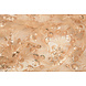 Malla Bordada con Lentejuelas Rosetta Champán Beige Malla Bordada con Lentejuelas Rosetta Champán Beige