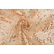 Mesh Ricamato Paillettes Rosetta Champagne Beige Mesh Ricamato Paillettes Rosetta Champagne Beige