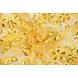 Malla Bordada con Lentejuelas Rosetta Amarillo Malla Bordada con Lentejuelas Rosetta Amarillo