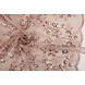 Mesh Ricamato Paillettes Rosetta Rosa Cipria Mesh Ricamato Paillettes Rosetta Rosa Cipria