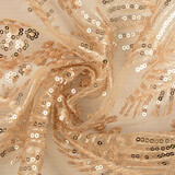 Mesh Embroidered Sequins Lizanne Champagne Beige Mesh Embroidered Sequins Lizanne Champagne Beige