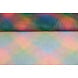 Tulle Arcobaleno 1