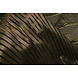 Lúrex Rayas Dorado-Negro Lúrex Rayas Dorado-Negro