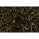 Lentejuelas sobre Terciopelo Negro - Dorado