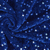 Paillettes su Velluto Blu Reale Paillettes su Velluto Blu Reale