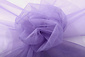 Tulle Lilas Tulle Lilas