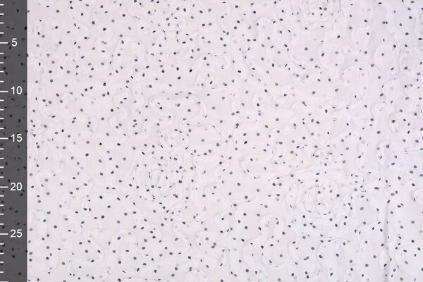 Chiffon Ruches e Pois Bianco