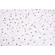 Chiffon Ruches e Pois Bianco