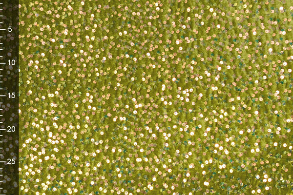 Velours à Sequins Vert Mousse (Holografische Paillettes) Velours à Sequins Vert Mousse (Holografische Paillettes)