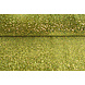 Paillettes su Velluto Verde Muschio (Holografische Paillettes) Paillettes su Velluto Verde Muschio (Holografische Paillettes)