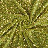 Paillettes su Velluto Verde Muschio (Holografische Paillettes)