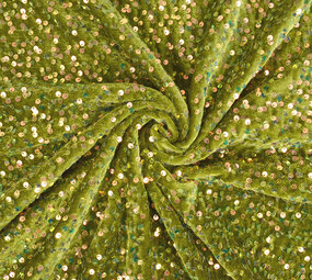Paillettes su Velluto Verde Muschio (Holografische Paillettes)