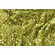 Paillettes su Velluto Verde Muschio (Holografische Paillettes) Paillettes su Velluto Verde Muschio (Holografische Paillettes)