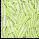 Imprimé Numérique Stretch Coton Glossy Imprimé Serpent Vert