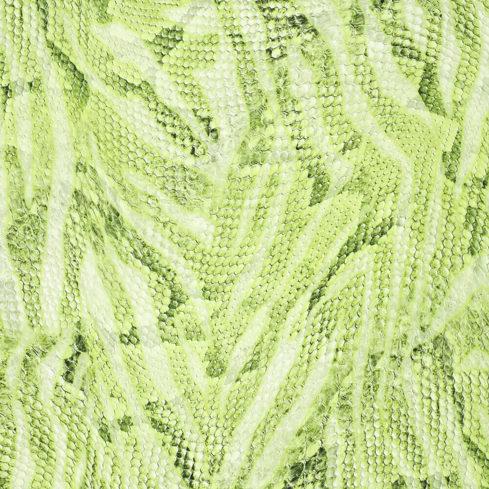 Imprimé Numérique Stretch Coton Glossy Imprimé Serpent Vert