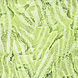 Digitale Stretch Cotone Glossy Pelle di Serpente Verde Digitale Stretch Cotone Glossy Pelle di Serpente Verde