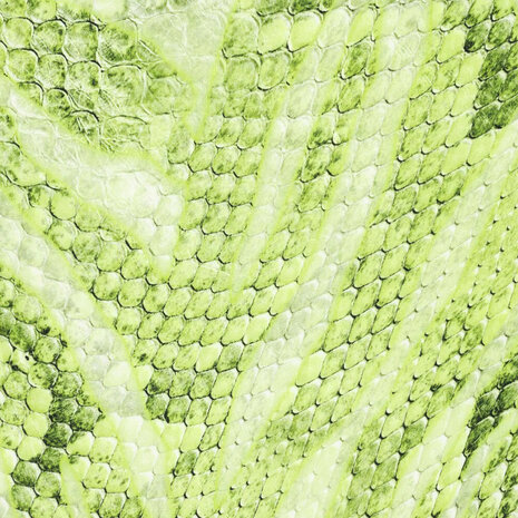 Digitaal Stretch Katoen Glossy Snakeskin Groen Digitaal Stretch Katoen Glossy Snakeskin Groen