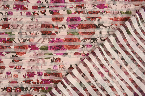 Fancy Netz Digital Kinza