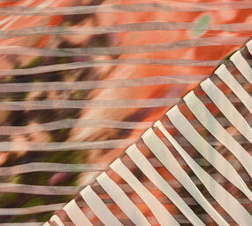 Fancy Netz Digital Kinari