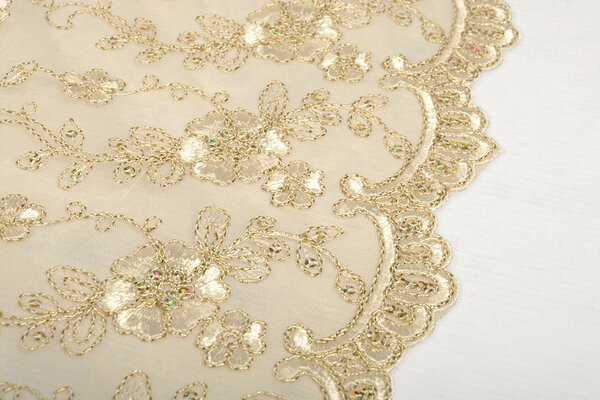 Mesh Embroidered Aliyah  Creme-Gold