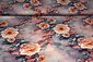 100% Viscose Mysteria Bloemen 100% Viscose Mysteria Bloemen