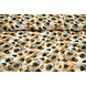 Chiffon Stampato Pavora Sabbia