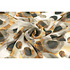 Mousseline Imprimé Pavora Sable Mousseline Imprimé Pavora Sable