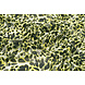 Mousseline Imprimé Splotch Multicolore-2