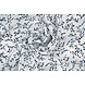 Chiffon Printed Blossom Branch Off-White Chiffon Printed Blossom Branch Off-White