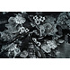 Stretch Raso Stampato Fiori Satu Stretch Raso Stampato Fiori Satu