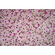 Stretch Satijn Bedrukt Bloemen Florine Stretch Satijn Bedrukt Bloemen Florine