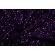 Paillettes su Velluto Scuro Viola