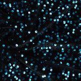 Paillettes su Velluto Nero - Acqua Paillettes su Velluto Nero - Acqua