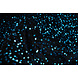 Paillettes su Velluto Nero - Acqua Paillettes su Velluto Nero - Acqua
