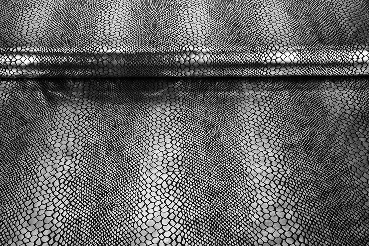 Lamé Snake Print Grey