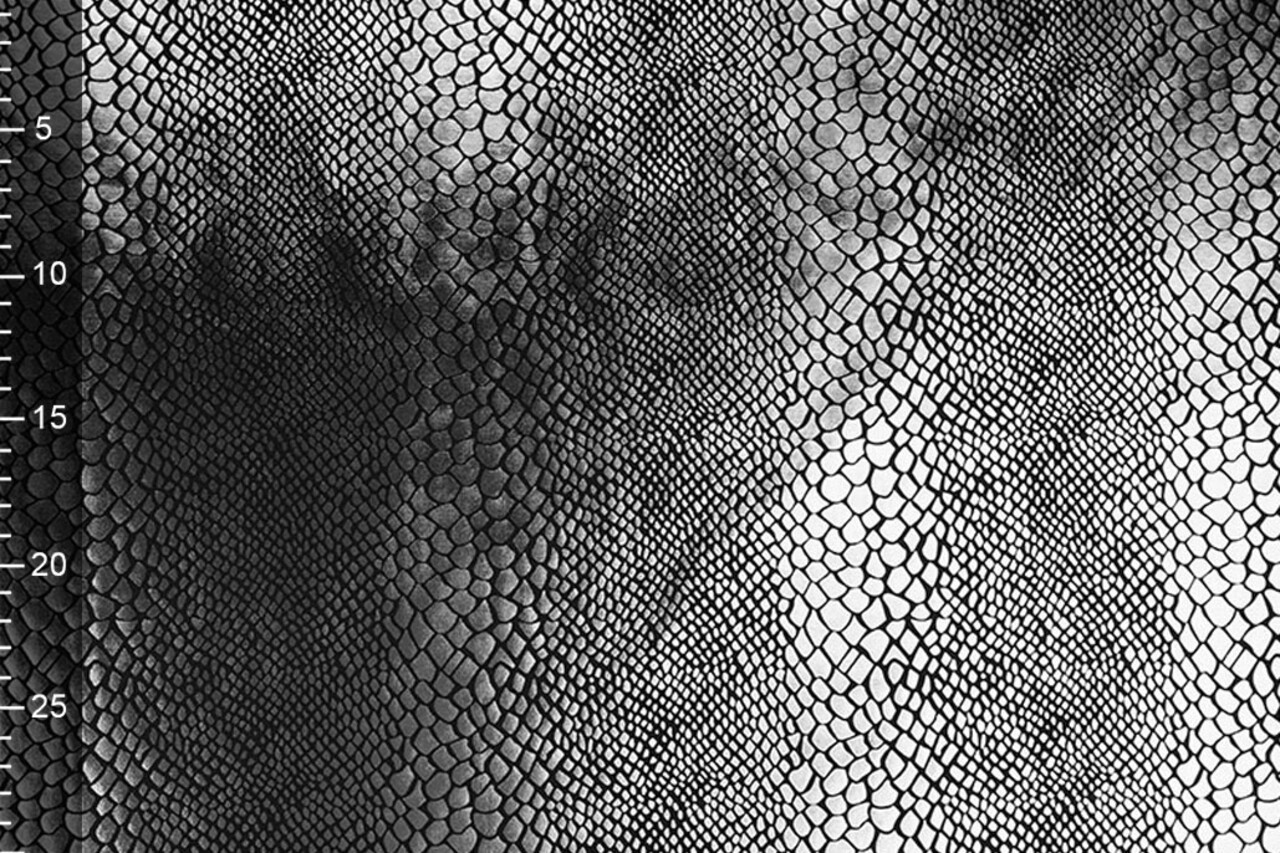 Lamé Schlangenprint Grau Lamé Schlangenprint Grau