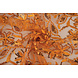 Mesh Geborduurd Pailletten Naomi Oranje Mesh Geborduurd Pailletten Naomi Oranje