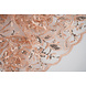 Mesh Embroidered Sequins Naomi Salmon Mesh Embroidered Sequins Naomi Salmon