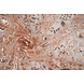 Mesh Embroidered Sequins Naomi Salmon Mesh Embroidered Sequins Naomi Salmon