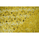 Mesh Embroidered Sequins Melissa Yellow Mesh Embroidered Sequins Melissa Yellow