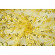 Mesh Embroidered Sequins Melissa Yellow Mesh Embroidered Sequins Melissa Yellow