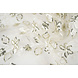Mesh Embroidered Sequins Melissa Off-White Mesh Embroidered Sequins Melissa Off-White