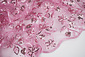 Mesh Embroidered Sequins Melissa Dark Old Pink