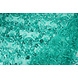 Mesh Geborduurd Pailletten Melissa Licht Zeegroen Mesh Geborduurd Pailletten Melissa Licht Zeegroen